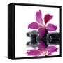 Reflection for Black Pebbles with Beauty Red Flower-crystalfoto-Framed Stretched Canvas