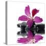 Reflection for Black Pebbles with Beauty Red Flower-crystalfoto-Stretched Canvas