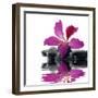 Reflection for Black Pebbles with Beauty Red Flower-crystalfoto-Framed Photographic Print