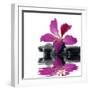 Reflection for Black Pebbles with Beauty Red Flower-crystalfoto-Framed Photographic Print