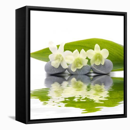 Reflection for Zen Stones and Orchid ,Green Leaf-Apollofoto-Framed Stretched Canvas