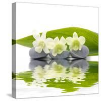 Reflection for Zen Stones and Orchid ,Green Leaf-Apollofoto-Stretched Canvas