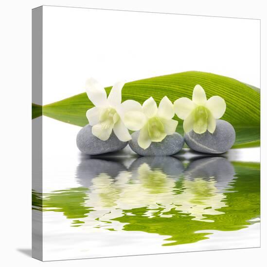 Reflection for Zen Stones and Orchid ,Green Leaf-Apollofoto-Stretched Canvas