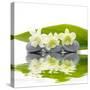 Reflection for Zen Stones and Orchid ,Green Leaf-Apollofoto-Stretched Canvas