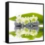 Reflection for Zen Stones and Orchid ,Green Leaf-Apollofoto-Framed Stretched Canvas