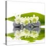 Reflection for Zen Stones and Orchid ,Green Leaf-Apollofoto-Stretched Canvas