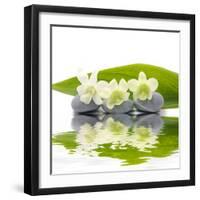 Reflection for Zen Stones and Orchid ,Green Leaf-Apollofoto-Framed Photographic Print