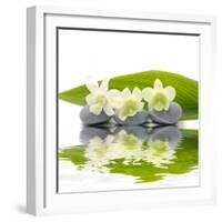 Reflection for Zen Stones and Orchid ,Green Leaf-Apollofoto-Framed Photographic Print