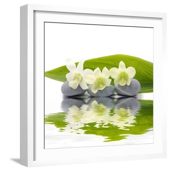 Reflection for Zen Stones and Orchid ,Green Leaf-Apollofoto-Framed Photographic Print