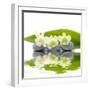 Reflection for Zen Stones and Orchid ,Green Leaf-Apollofoto-Framed Photographic Print