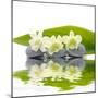Reflection for Zen Stones and Orchid ,Green Leaf-Apollofoto-Mounted Photographic Print