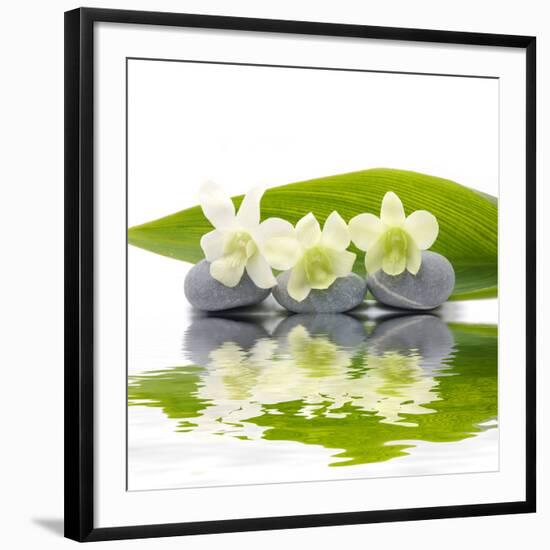 Reflection for Zen Stones and Orchid ,Green Leaf-Apollofoto-Framed Photographic Print