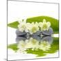 Reflection for Zen Stones and Orchid ,Green Leaf-Apollofoto-Mounted Photographic Print