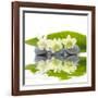 Reflection for Zen Stones and Orchid ,Green Leaf-Apollofoto-Framed Photographic Print