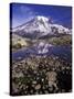 Reflection in Stream of Grinnel Glacier, Mt. Rainier National Park, Washington, USA-Jamie & Judy Wild-Stretched Canvas