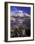 Reflection in Stream of Grinnel Glacier, Mt. Rainier National Park, Washington, USA-Jamie & Judy Wild-Framed Photographic Print