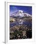 Reflection in Stream of Grinnel Glacier, Mt. Rainier National Park, Washington, USA-Jamie & Judy Wild-Framed Photographic Print