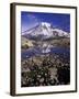 Reflection in Stream of Grinnel Glacier, Mt. Rainier National Park, Washington, USA-Jamie & Judy Wild-Framed Photographic Print