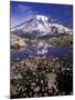 Reflection in Stream of Grinnel Glacier, Mt. Rainier National Park, Washington, USA-Jamie & Judy Wild-Mounted Photographic Print