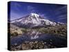 Reflection in Stream of Grinnel Glacier, Mt. Rainier National Park, Washington, USA-Jamie & Judy Wild-Stretched Canvas