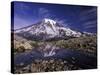 Reflection in Stream of Grinnel Glacier, Mt. Rainier National Park, Washington, USA-Jamie & Judy Wild-Stretched Canvas