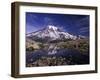 Reflection in Stream of Grinnel Glacier, Mt. Rainier National Park, Washington, USA-Jamie & Judy Wild-Framed Premium Photographic Print