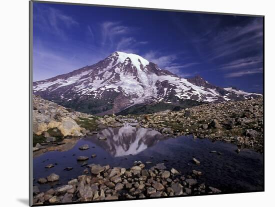 Reflection in Stream of Grinnel Glacier, Mt. Rainier National Park, Washington, USA-Jamie & Judy Wild-Mounted Premium Photographic Print