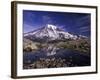 Reflection in Stream of Grinnel Glacier, Mt. Rainier National Park, Washington, USA-Jamie & Judy Wild-Framed Photographic Print