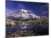 Reflection in Stream of Grinnel Glacier, Mt. Rainier National Park, Washington, USA-Jamie & Judy Wild-Mounted Photographic Print