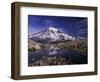 Reflection in Stream of Grinnel Glacier, Mt. Rainier National Park, Washington, USA-Jamie & Judy Wild-Framed Photographic Print