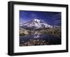 Reflection in Stream of Grinnel Glacier, Mt. Rainier National Park, Washington, USA-Jamie & Judy Wild-Framed Photographic Print