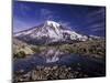 Reflection in Stream of Grinnel Glacier, Mt. Rainier National Park, Washington, USA-Jamie & Judy Wild-Mounted Photographic Print