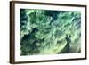 Reflection in Water-Mark Sunderland-Framed Photographic Print