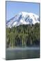 Reflection Lake. Mt. Rainier National Park, WA-Justin Bailie-Mounted Photographic Print