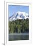 Reflection Lake. Mt. Rainier National Park, WA-Justin Bailie-Framed Photographic Print