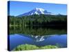 Reflection Lake, Mt. Rainier National Park, Washington, USA-Rob Tilley-Stretched Canvas