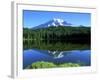 Reflection Lake, Mt. Rainier National Park, Washington, USA-Rob Tilley-Framed Photographic Print