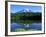 Reflection Lake, Mt. Rainier National Park, Washington, USA-Rob Tilley-Framed Photographic Print