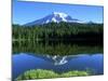 Reflection Lake, Mt. Rainier National Park, Washington, USA-Rob Tilley-Mounted Photographic Print