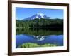 Reflection Lake, Mt. Rainier National Park, Washington, USA-Rob Tilley-Framed Photographic Print