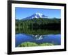 Reflection Lake, Mt. Rainier National Park, Washington, USA-Rob Tilley-Framed Photographic Print