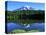Reflection Lake, Mt. Rainier National Park, Washington, USA-Rob Tilley-Stretched Canvas