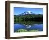Reflection Lake, Mt. Rainier National Park, Washington, USA-Rob Tilley-Framed Photographic Print