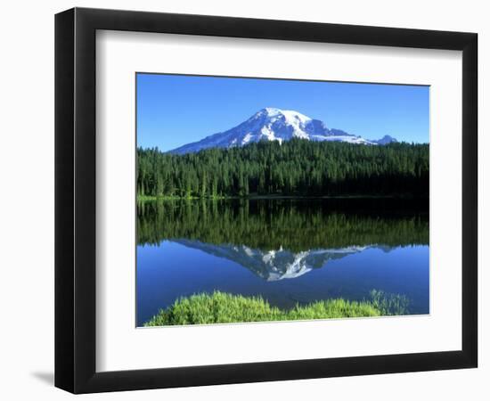 Reflection Lake, Mt. Rainier National Park, Washington, USA-Rob Tilley-Framed Photographic Print