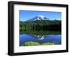 Reflection Lake, Mt. Rainier National Park, Washington, USA-Rob Tilley-Framed Photographic Print