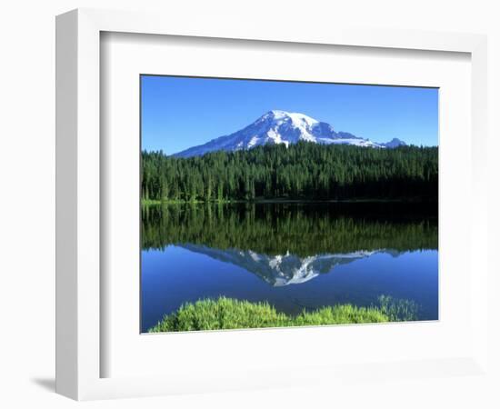 Reflection Lake, Mt. Rainier National Park, Washington, USA-Rob Tilley-Framed Photographic Print