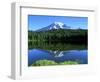 Reflection Lake, Mt. Rainier National Park, Washington, USA-Rob Tilley-Framed Photographic Print