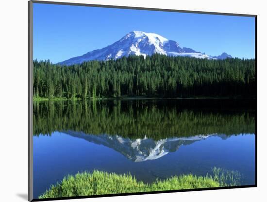 Reflection Lake, Mt. Rainier National Park, Washington, USA-Rob Tilley-Mounted Photographic Print
