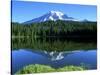 Reflection Lake, Mt. Rainier National Park, Washington, USA-Rob Tilley-Stretched Canvas