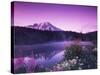 Reflection Lake with Summer Alpine Wildflowers, Mt. Rainier National Park, Washington, USA-Stuart Westmoreland-Stretched Canvas